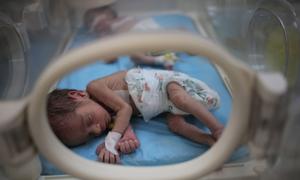 El 5 de marzo de 2024, UNICEF y sus aliados entregaron 23 incubadoras a hospitales de Rafah, en el sur de Gaza.
