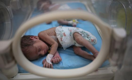 Le 5 mars 2024, l'UNICEF et ses partenaires ont livré 23 couveuses aux hôpitaux de Rafah, dans le sud de Gaza.