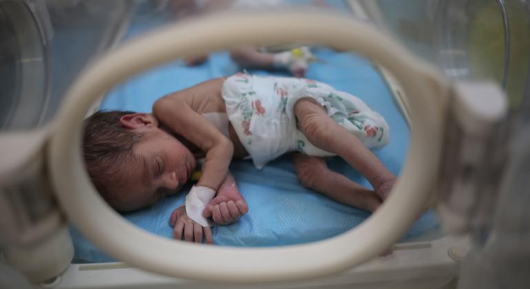 El 5 de marzo de 2024, UNICEF y sus aliados entregaron 23 incubadoras a hospitales de Rafah, en el sur de Gaza.
