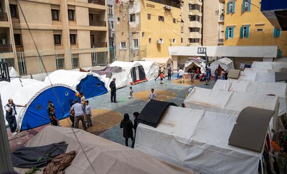 Lebanon war leaves families foraging for food despite ceasefire