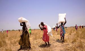 La gente recoge sacos de cereales tras un lanzamiento aéreo en las afueras de Pieri, en el estado de Jonglei, en Sudán del Sur.