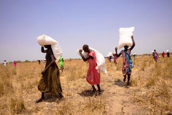 Des habitants récupèrent des sacs de céréales après un largage aérien du Programme alimentaire mondial (PAM) dans l'État de Jonglei, au Soudan du Sud.
