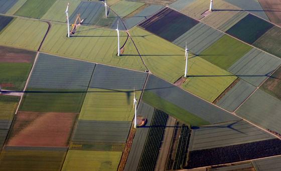 ‘Without renewables, there can be no future’: 5 ways to power the energy transition