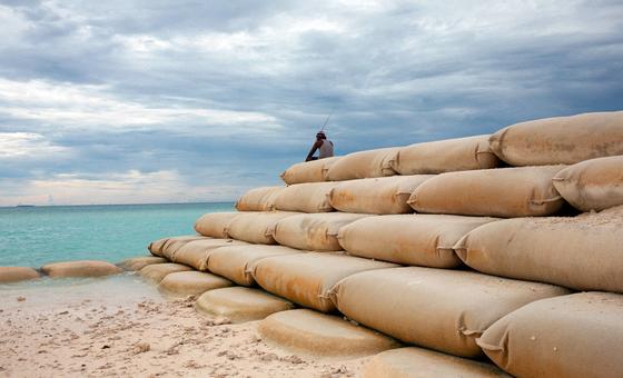 Necesitamos la arena para construir, pero también para amortiguar el cambio climático