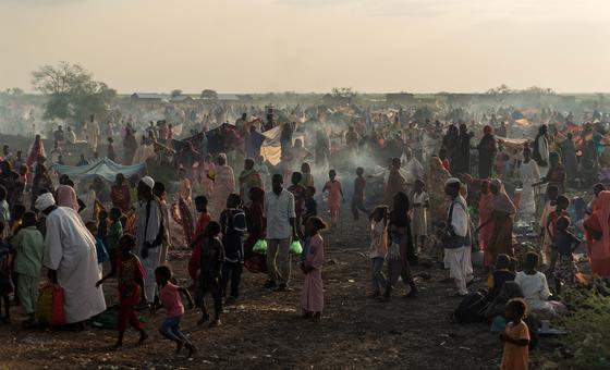 Sudan war turning ‘homes into cemeteries’: UNHCR
