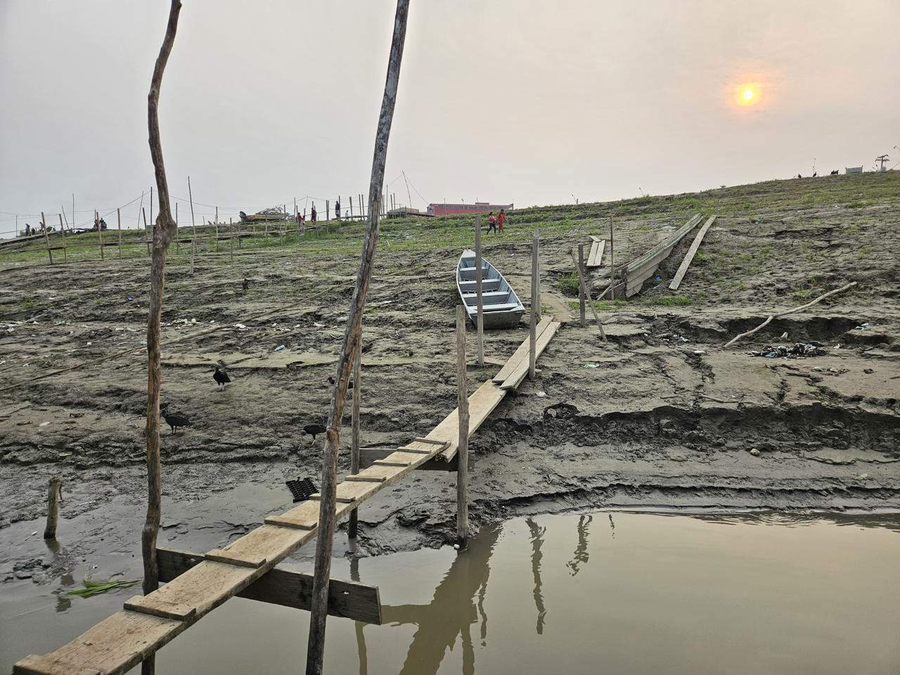 Relatório revela que calor extremo no Brasil abalou produção de soja e pecuária