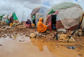 В 2023 году ООН реагировала на кризисы по всему миру, включая наводнения в Сомали.