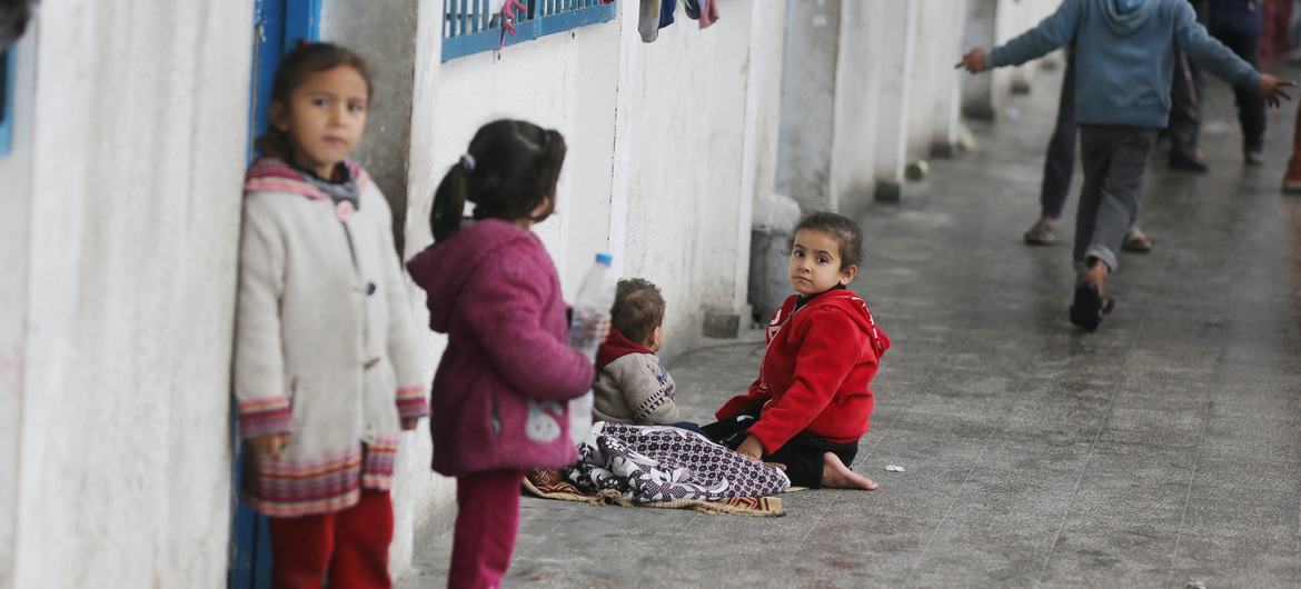 As famílias deslocadas continuam a viver em escolas da UNRWA na Faixa de Gaza.