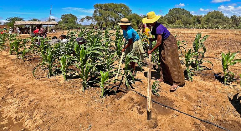 Güney Madagaskar’da Finansal Bağımsızlığı Geliştirmenin Su Anahtarı Nguncel.com