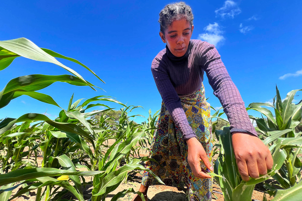 Tenefo Votsirasoa is a member of a women's growers association in the village of Ankilinanjosoa.