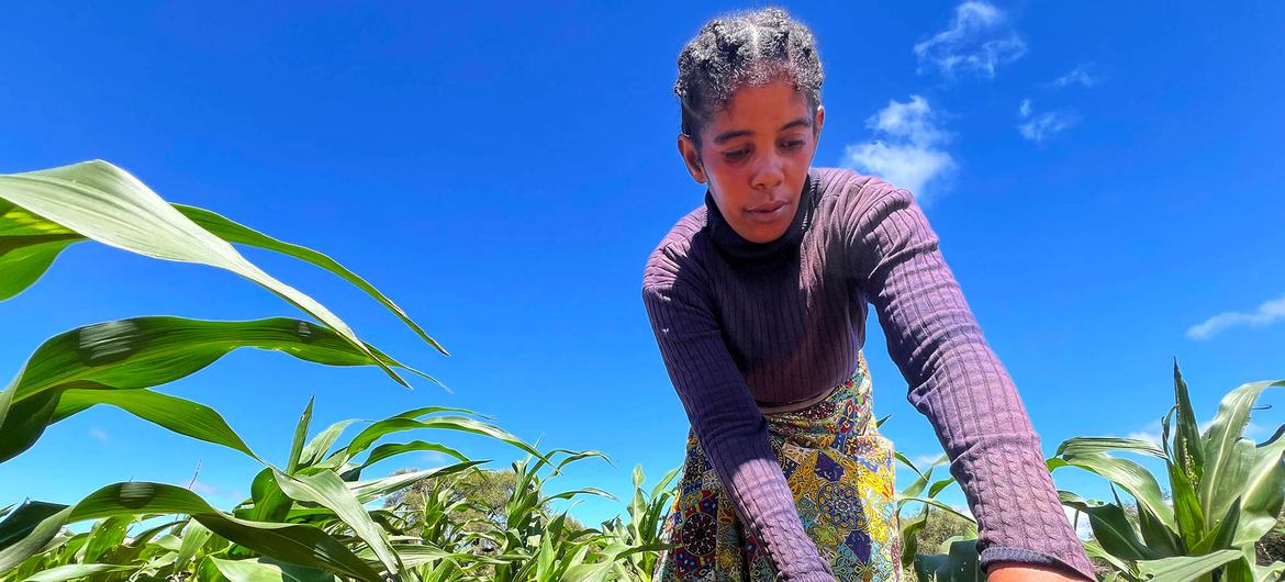 Tenefo Votsirasoa es miembro de una asociación de mujeres agricultoras del pueblo de Ankilinanjosoa .