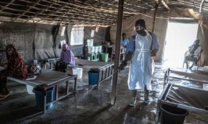 MSF Cholera Clinic, Minaa El Bari, Sudan (file Aug 2024)