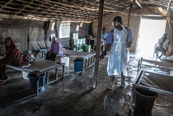 MSF Cholera Clinic, Minaa El Bari, Sudan (file Aug 2024)