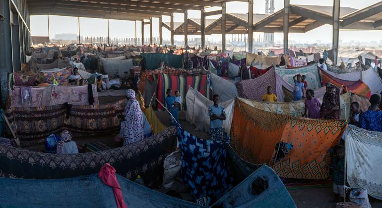 [UN News photo]