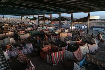 media:entermedia_image:981d46d8-4ad7-4cf3-ab38-1256e49f27b0