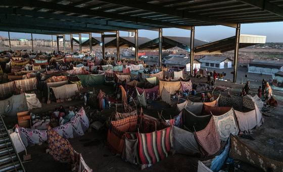 Conflito no Sudão completa 1.000 dias com agravamento da crise humanitária