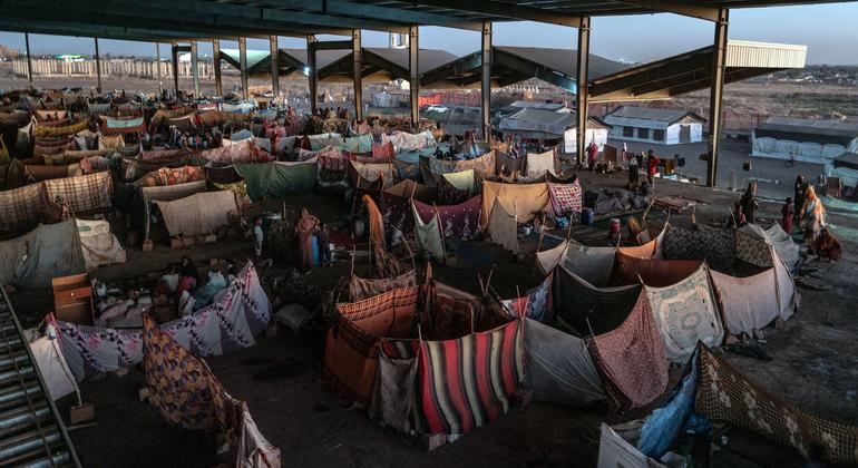 media:entermedia_image:981d46d8-4ad7-4cf3-ab38-1256e49f27b0