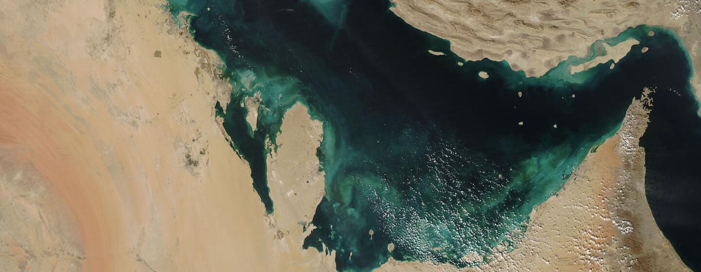 Picha ya satelaiti kutoka kwa satelaiti ya Aqua ya NASA inayoonyesha Ghuba ya Uajemi ikiwa na vimbunga vya algae za rangi ya tan, bluu, na kijani kibichi zikichanua kando ya pwani za Iran na Peninsula ya Arabia.