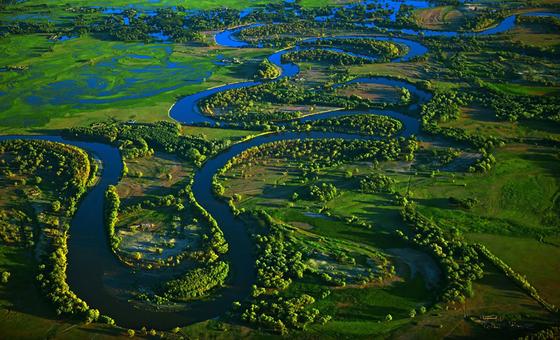 Une vue aérienne des zones humides en Chine.