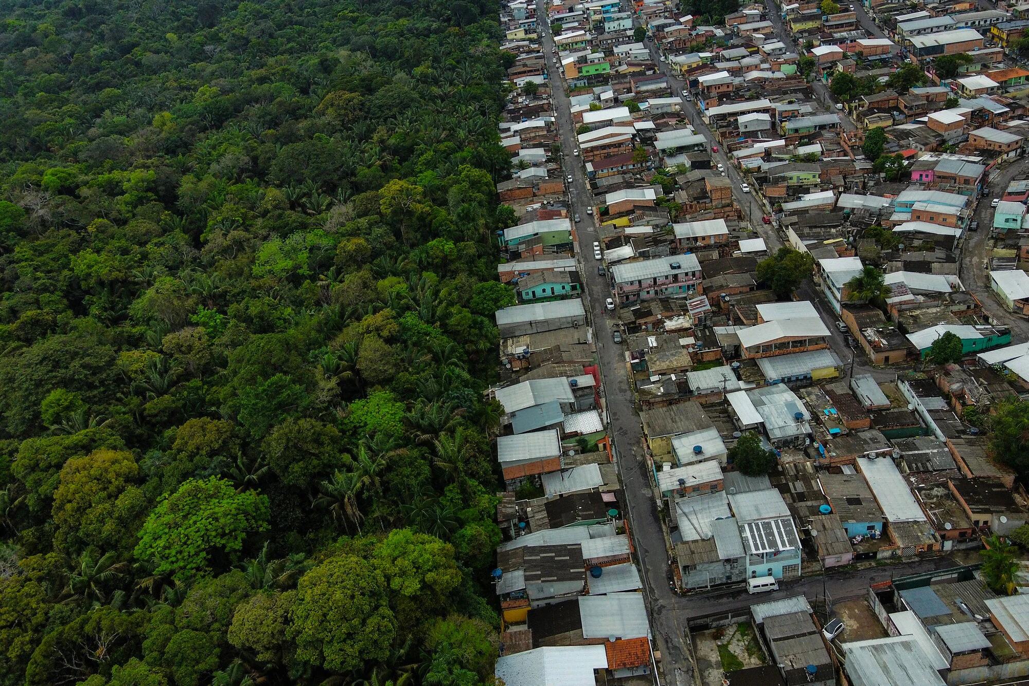 Rumo a 2030, Brasil enfatiza plano para manter floresta em pé e gerar renda