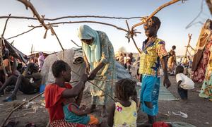 Refugees fleeing Sudan build a temporary shelter at the border with South Sudan. 