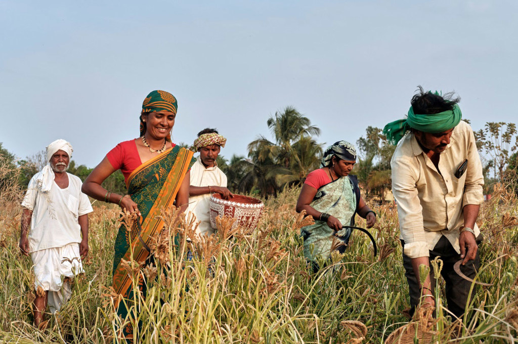 The 2025 Equator Prize winners exemplify this year's theme, 