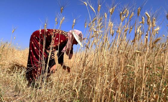 Développement durable : les progrès réalisés pour atteindre les objectifs mondiaux sont insuffisants