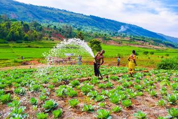 Without direct access to the sea, landlocked developing countries face severe challenges in international trade, leaving them highly vulnerable to market and geo-political shocks. Pictured here, women farmers in Rwanda.