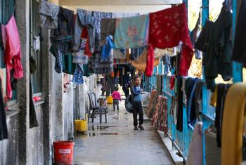 گزشتہ سال 7 اکتوبر کے بعد غزہ میں جنگ چھڑنے کے بعد امدادی ادارے انروا کے بیشتر سکول بے گھر لوگوں کی پناہ گاہوں میں بدل چکے ہیں۔