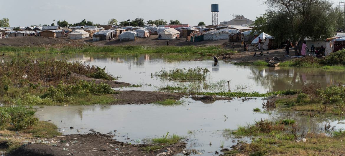 Временные убежища людей, бегущих от насилия в Судане.