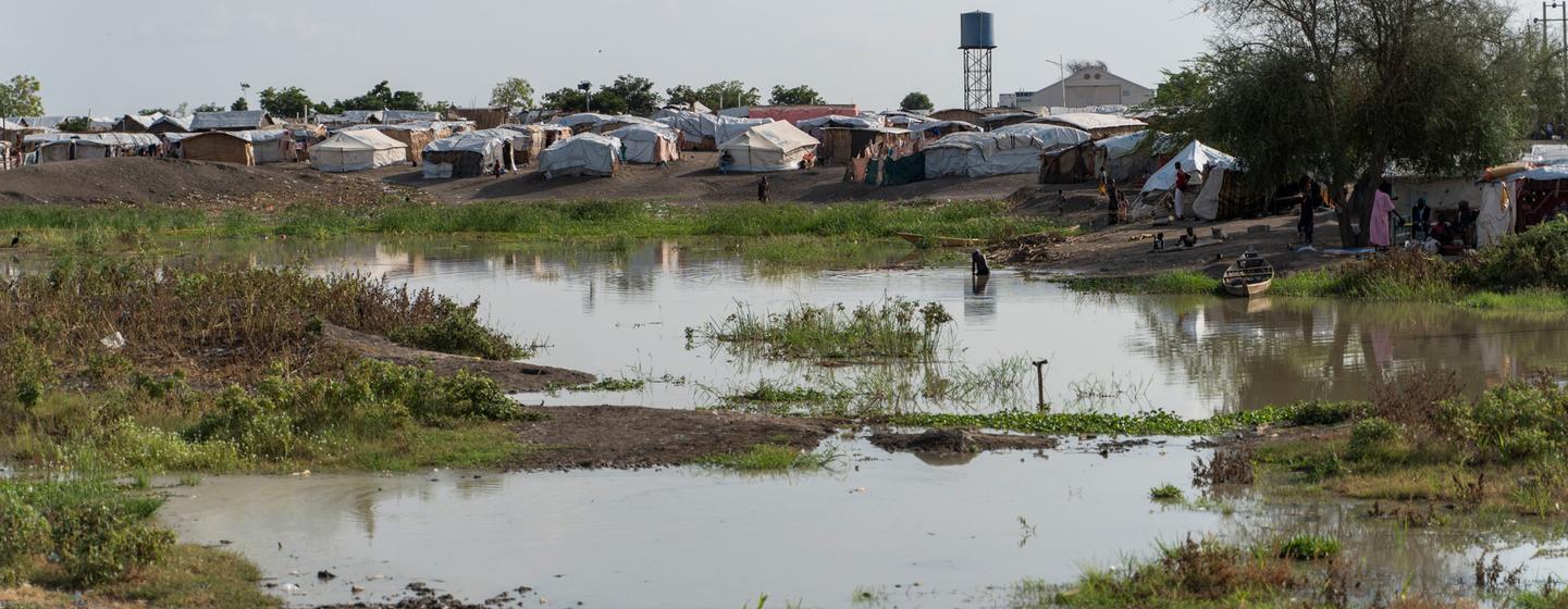 Des abris temporaires sont construits dans l'État du Nil Blanc au Soudan par des personnes fuyant la violence.