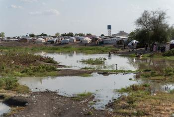 हिंसा से जान बचाकर भागने वाले लोगों के लिए सूडान के व्हाईट नाइल प्रान्त में अस्थाई शरण स्थल बनाए गए हैं.