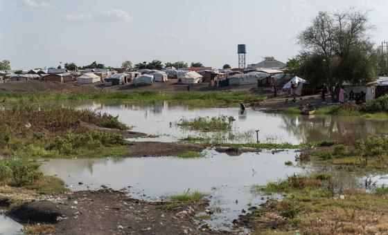 Fleeing violence, Sudanese erect temporary shelters in relatively safe parts of the country. (file)