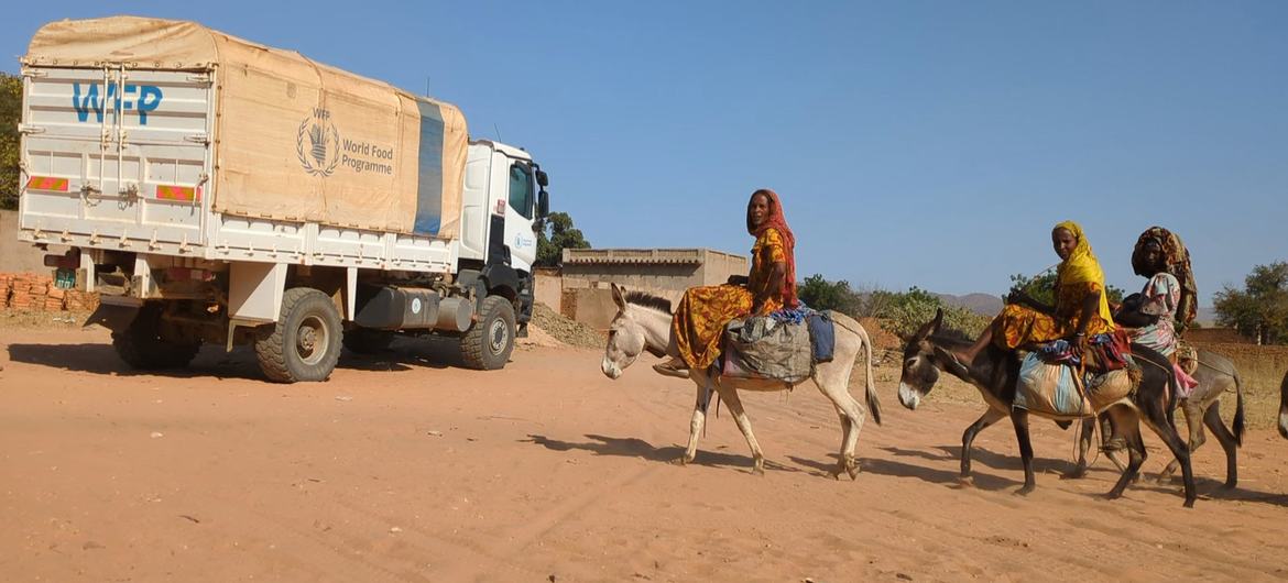 UN peacekeepers patrol the eastern DR Congo.