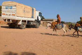 Hundreds of thousands of Sudanese have sought refuge in Chad due to the ongoing conflict and resulting food shortages. 