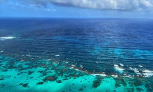  Reserva de la Biosfera Seaflower en Providencia, Colombia.