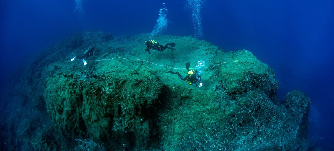 Un equipo de buceadores científicos evalúa la biodiversidad marina en la cima de un monte submarino en Porto Santo, Madeira, Portugal. 