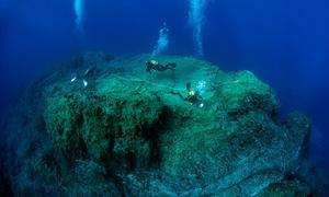 A team of scientific divers assess the marine biodiversity on the top of a seamount in Porto Santo, Madeira, Portugal. 