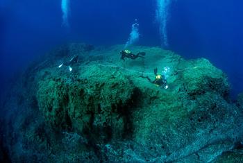 A team of scientific divers assess the marine biodiversity on the top of a seamount in Porto Santo, Madeira, Portugal. 