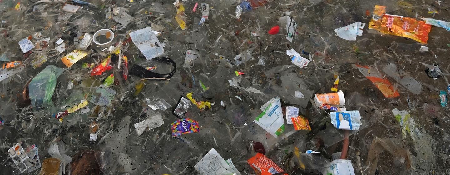Des déchets plastiques sont rejetés sur une plage en Inde.