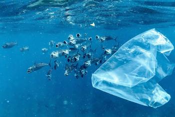 An estimated 18 to 20 per cent of global plastic waste ends up in the ocean. 