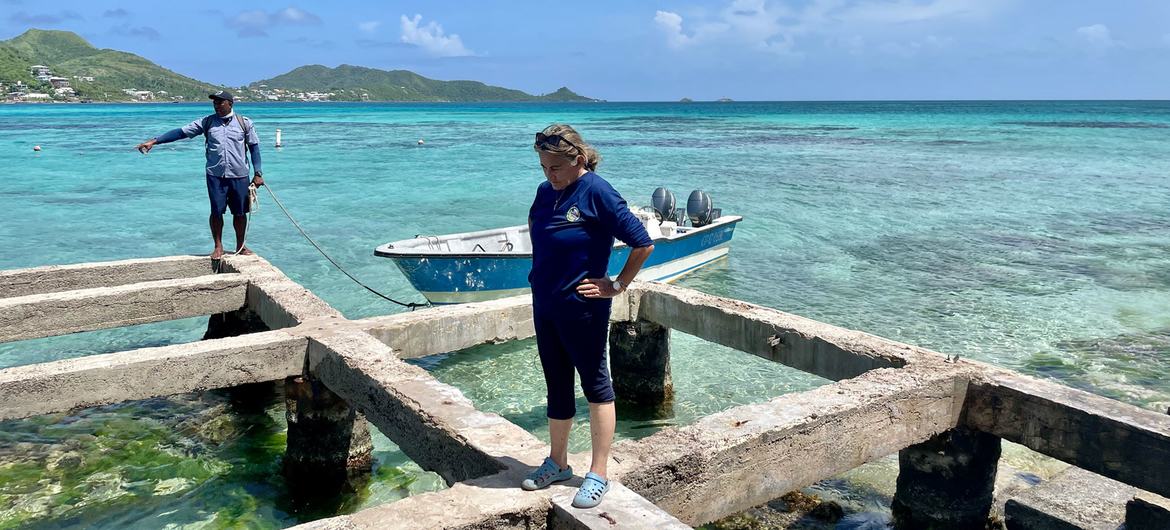 Marcela Cano stands over the remnants of the pier that once stood over Crab Cay, McBean Lagoon National Park.