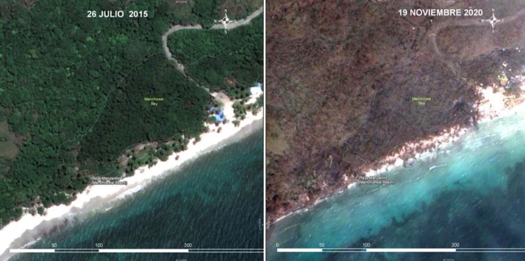 Imágenes de satélite muestran cómo los manglares y la vegetación fueron afectados por el huracán Iota en la Bahía de Manchineel.