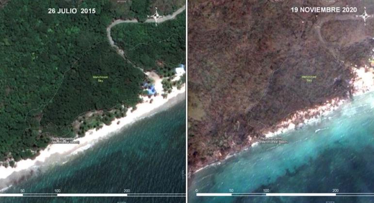 Satellite images show how mangroves and vegetation at Manchineel Bay in Providencia were affected after hurricane Iota.