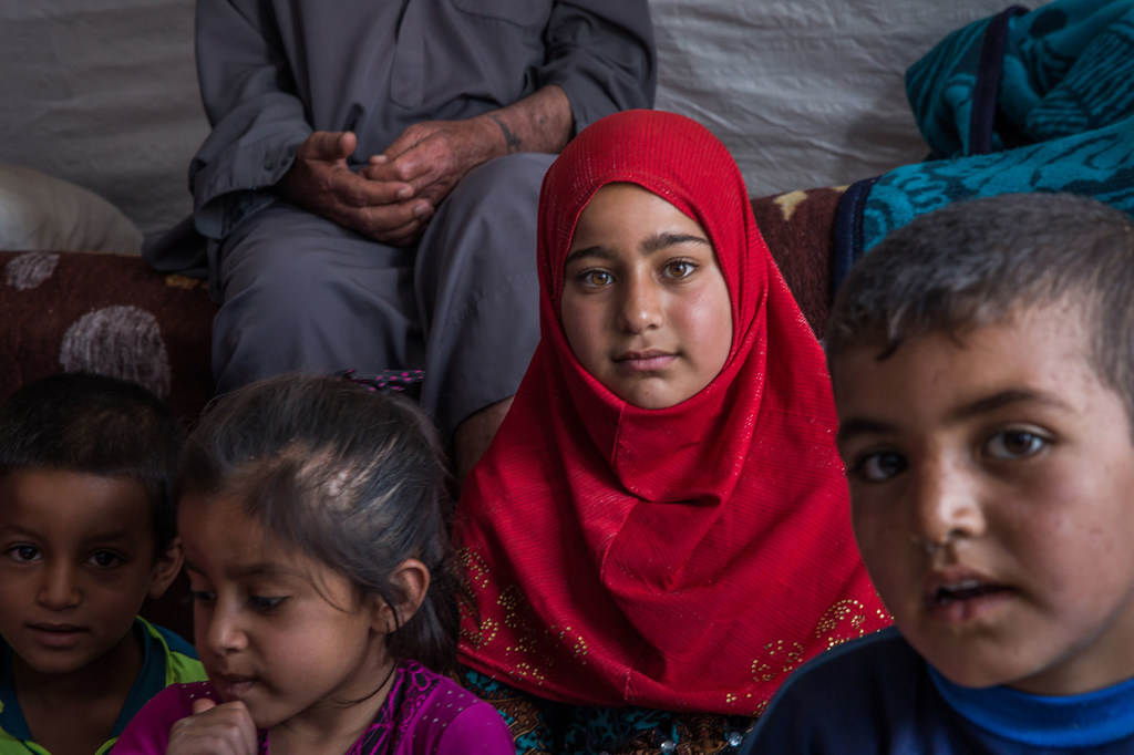 Des familles déplacées par le conflit vivent dans le camp de Haj Ali, un camp pour personnes déplacées situé dans le nord de l'Iraq.
