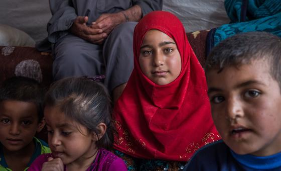 Families displaced by conflict are living in Haj Ali camp for displaced people in northern Iraq.