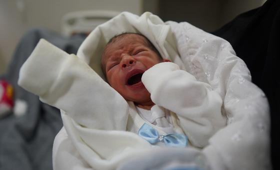 Gaza: UN agencies make plea for international action to end hospital attacks