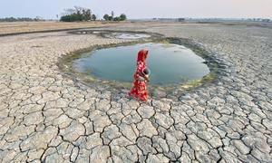 Una mujer vestida de rojo recoge agua de un pequeño estanque en una zona afectada por la sequía en el distrito de Satkhira, Bangladesh.
