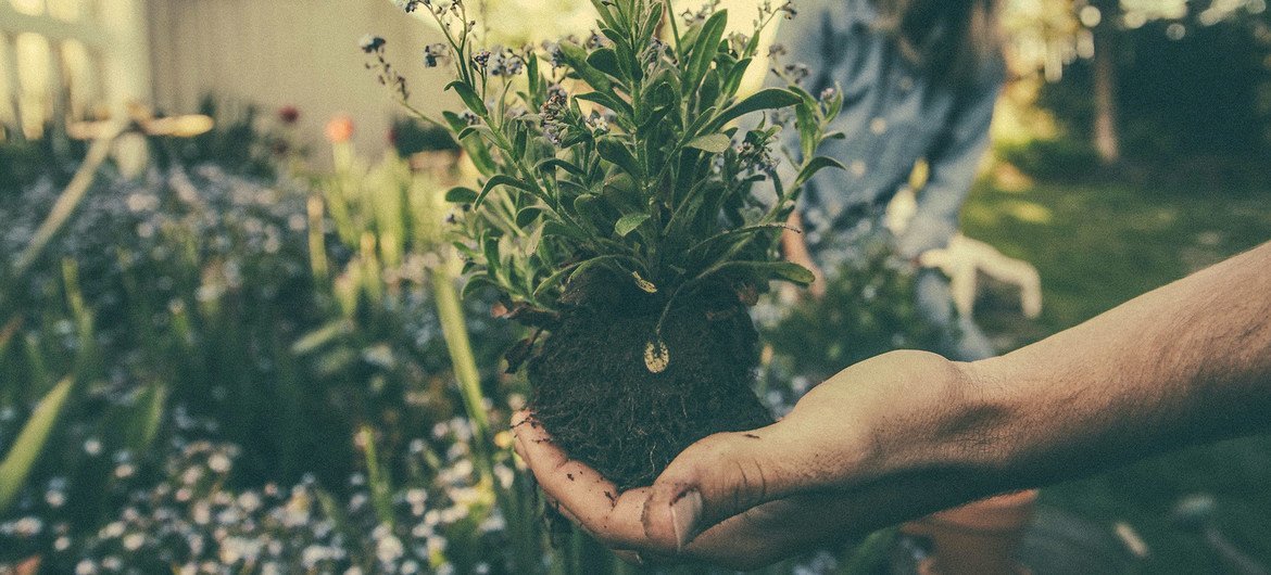 Gardening reveals the 'magic of nature'.