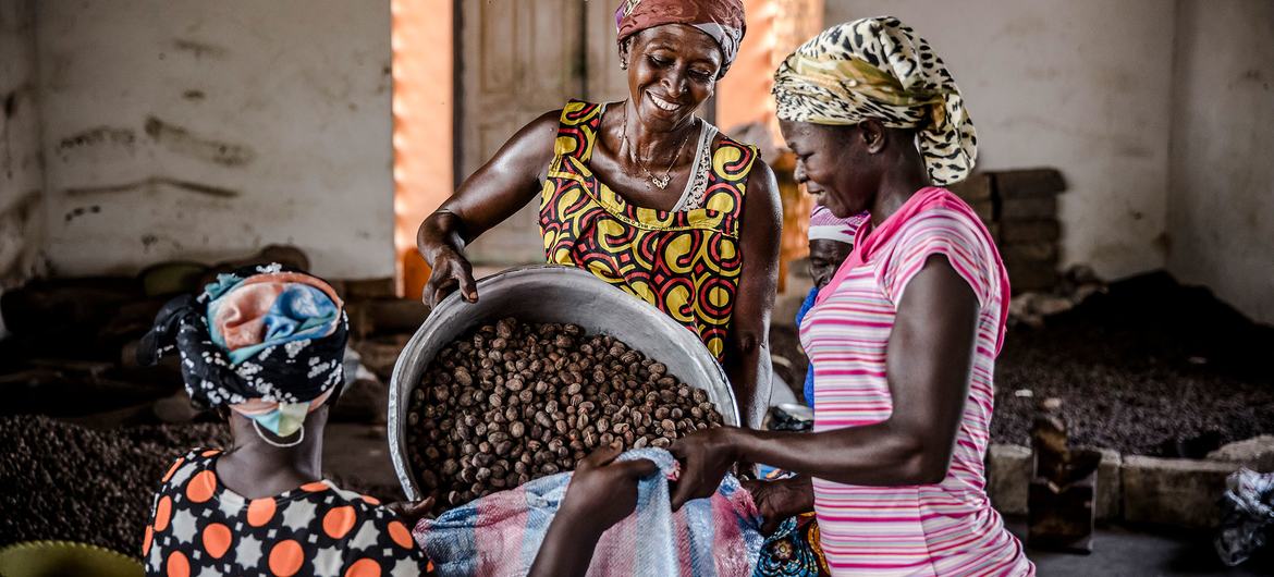 Des femmes agricultrices dans le nord du Ghana.